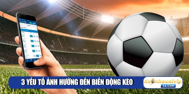 Kèo Nhà Cái 5 ⭐ Tỷ Lệ Kèo Bóng Đá World Cup 2026 11 3 yếu tố ảnh hưởng đến biến động kèo